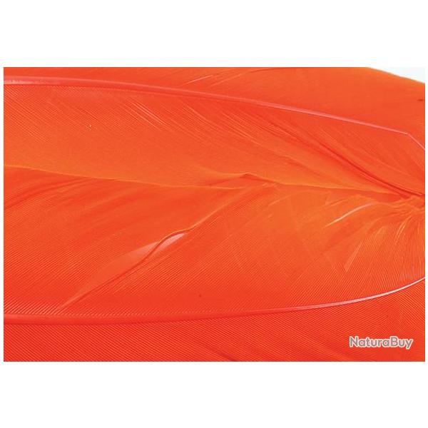 Dinde plume daile teintes orange