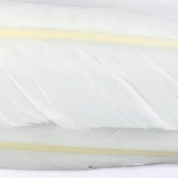Oie plume d´aile blanches