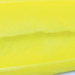 Oie plume d´aile teintées jaunes