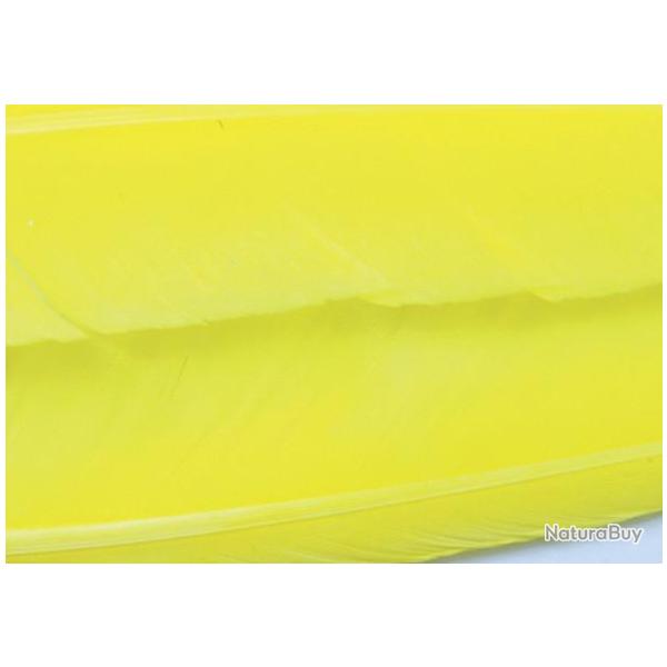 Oie plume daile teintes jaunes