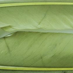 Oie plume d´aile teintées olives
