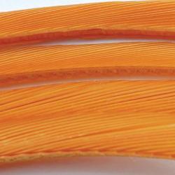 Oie biots quills ambre