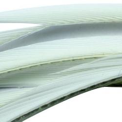 Oie biots quills blanc