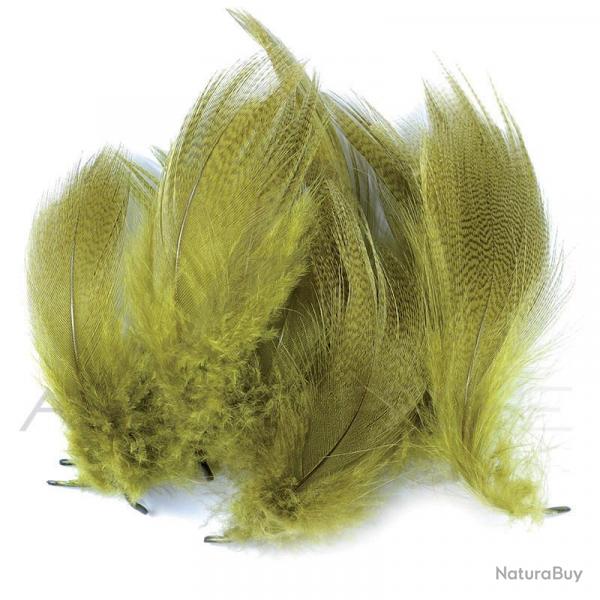 Canard flancs olive