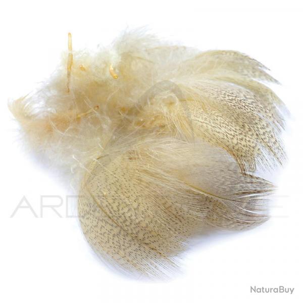 Canard poitrail mle beige