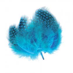 Pintade teintée bleu