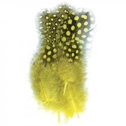 Pintade teintée jaune