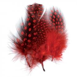 Pintade teintée rouge