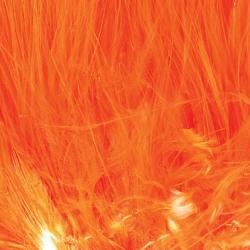 Marabout plumes quill fluo orange 503