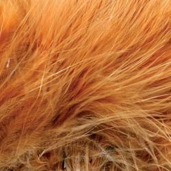 Marabout plumes quill golden brown 50