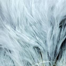 Marabout plumes quill gris pâle 125