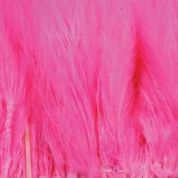 Marabout plumes quill rose 103