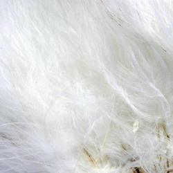 Marabout enfilé blanc 01
