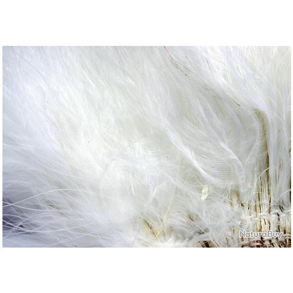 Marabout enfil blanc 01