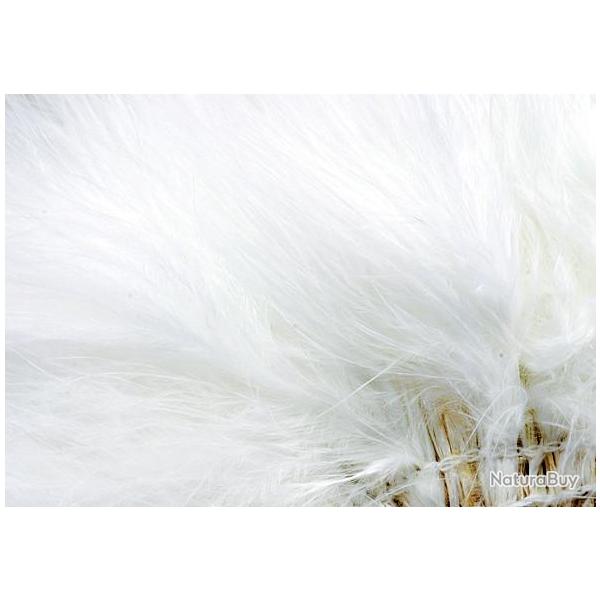 Marabout enfil fluo blanc 506