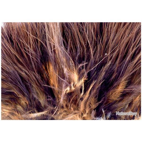 Marabout enfil marron 47