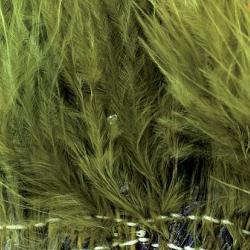 Marabout enfilé olive 89