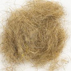 Dubbing lièvre sauvage naturel