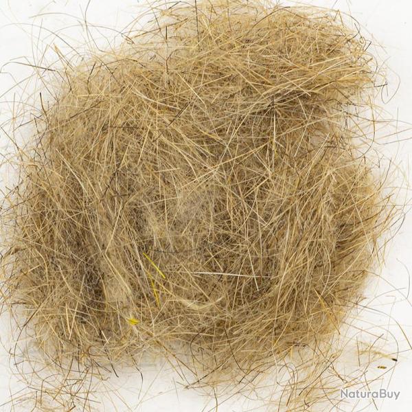 Dubbing livre sauvage naturel