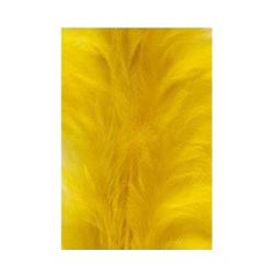 Teinture Veniard golden olive (olive doré)
