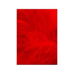 Teinture Veniard scarlet (rouge écarlate)