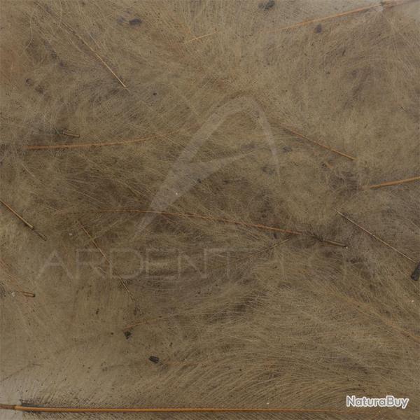 Cul de canard vrac AB FLY 1gr Kaki teint