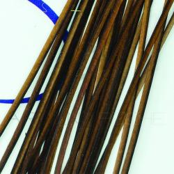 Polish quill Brown (marron)