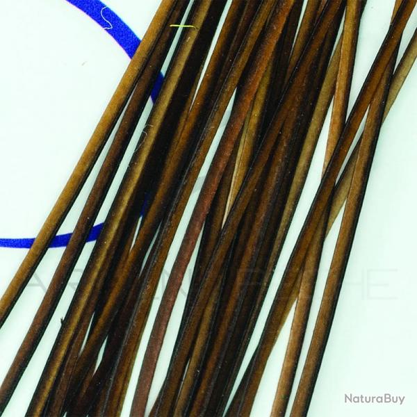 Polish quill Brown (marron)