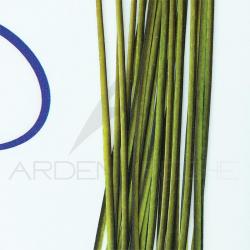 Polish quill Green (vert)