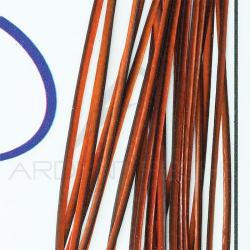 Polish quill Orange