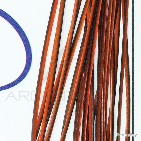 Polish quill Orange