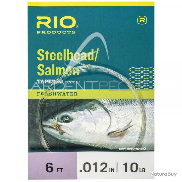 Bas de ligne RIO Steelhead/saumon Glacial/Green 6(1,80m) 12lb