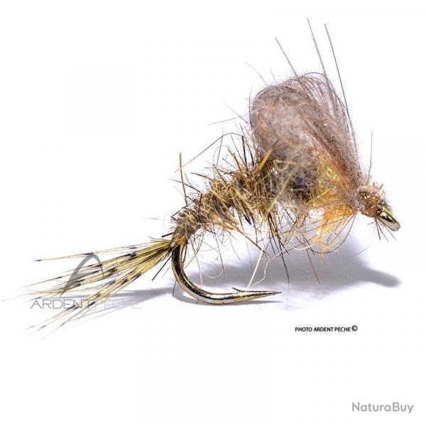 Mouche Igor et Nadica Stancev Emergente loop oreille de livre olive H16