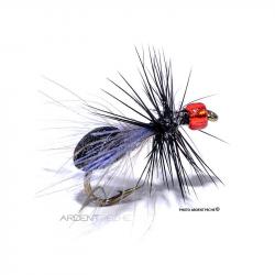 Mouche Igor et Nadica Stancev Fourmi ailée noire tête rouge H16