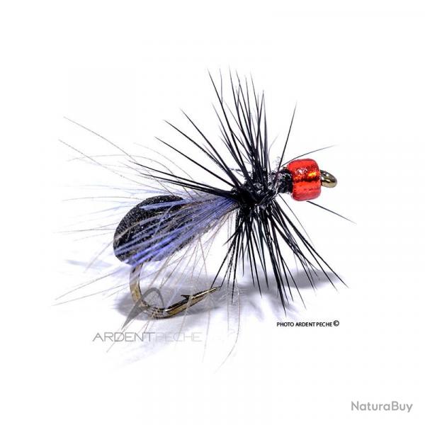 Mouche Igor et Nadica Stancev Fourmi aile noire tte rouge H16