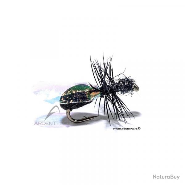 Mouche Igor et Nadica Stancev Fourmi aile flash H14