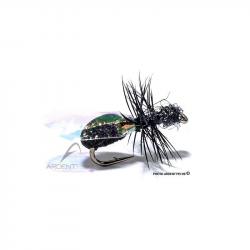 Mouche Igor et Nadica Stancev Fourmi ailée flash H18