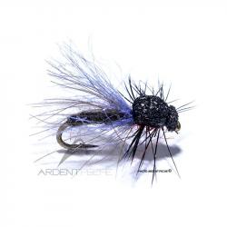 Mouche Igor et Nadica Stancev CDC Bibio H14
