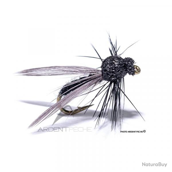 Mouche Igor et Nadica Stancev Bibio aile H16