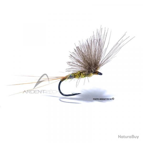 Mouche Igor et Nadica Stancev CDC dun olive H18