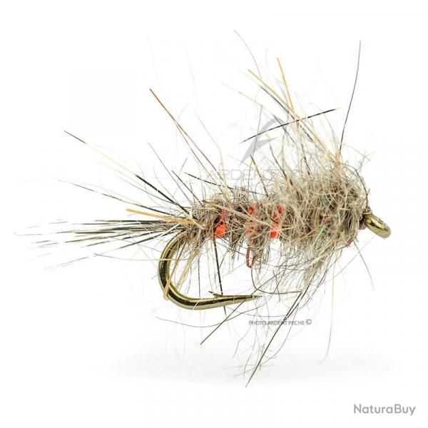 Mouche DEVAUX Emergente JBEOL 01 H16