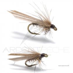 Mouche Florian Stéphan Pleco H18