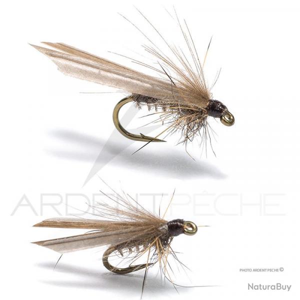 Mouche Florian Stphan Pleco H18