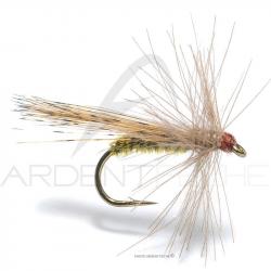 Mouche Florian Stéphan sedge pardo CDC H14