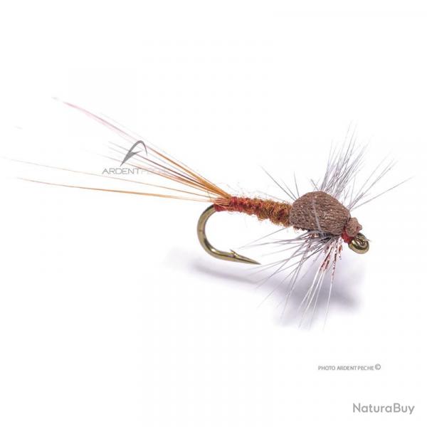Mouche Igor et Nadica Stancev sherry spent H16