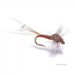 Mouche Igor et Nadica Stancev sherry spent H18