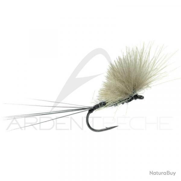 Mouche Igor et Nadica Stancev CDC dun noir H16