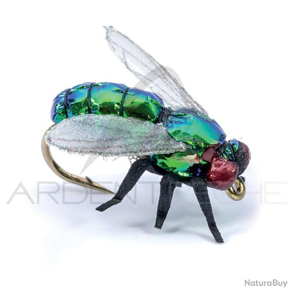 Mouche raliste verte H12