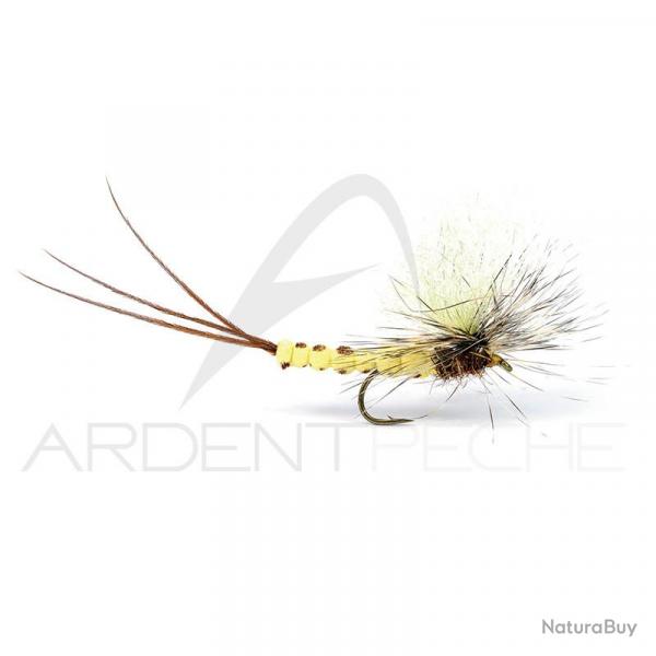 Mouche Igor et Nadica Stancev mouche de mai body H12