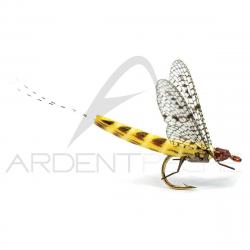 Mouche réaliste Mayfly 2 Ephemera Danica H12